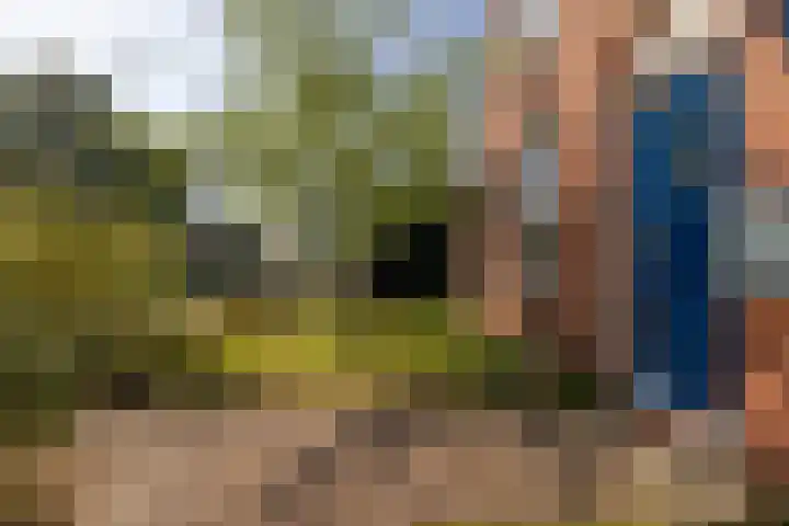 Langeweg 6 Grootegast thumbnail 48