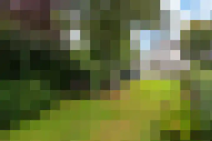 Langeweg 60 Apeldoorn thumbnail 19