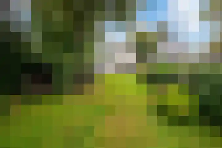 Langeweg 60 Apeldoorn thumbnail 20