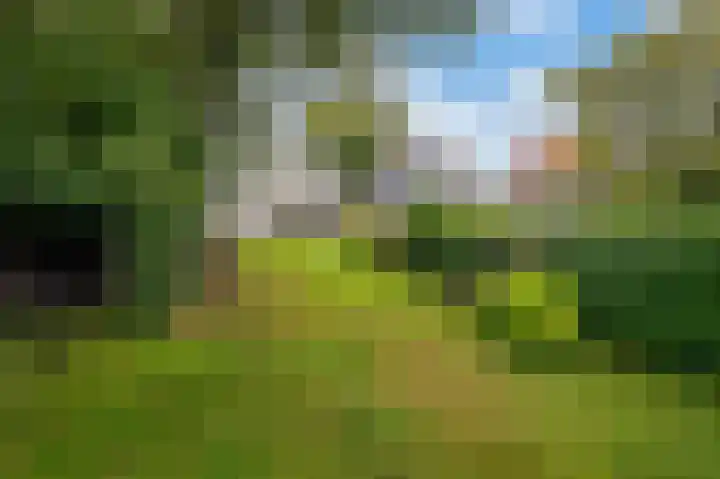 Langeweg 60 Apeldoorn thumbnail 21