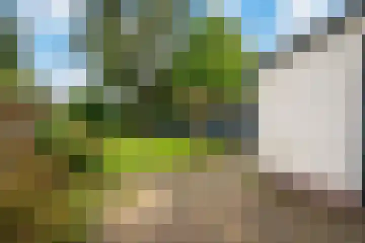 Langeweg 60 Apeldoorn thumbnail 23