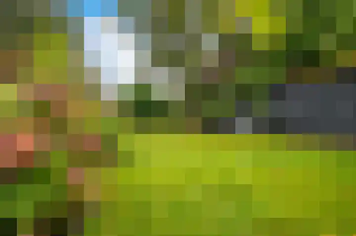Langeweg 60 Apeldoorn thumbnail 24