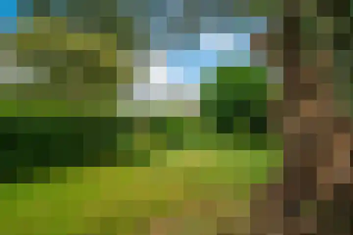 Langeweg 60 Apeldoorn thumbnail 25