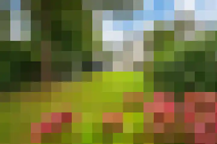Langeweg 60 Apeldoorn thumbnail 26
