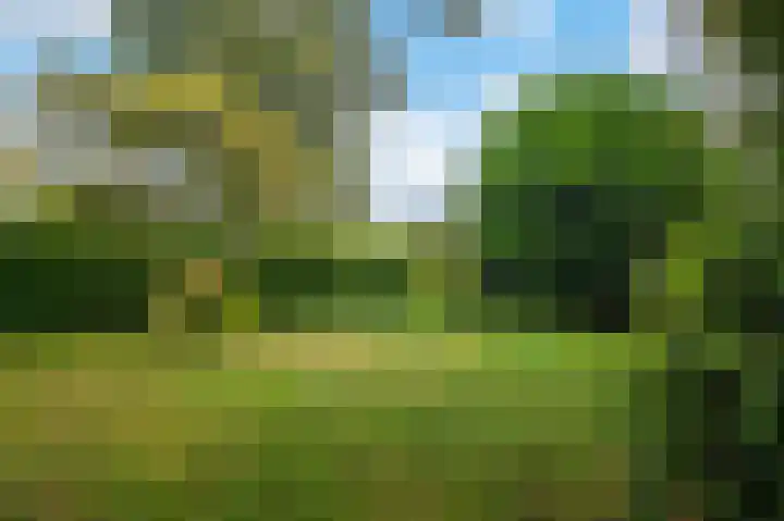 Langeweg 60 Apeldoorn thumbnail 27