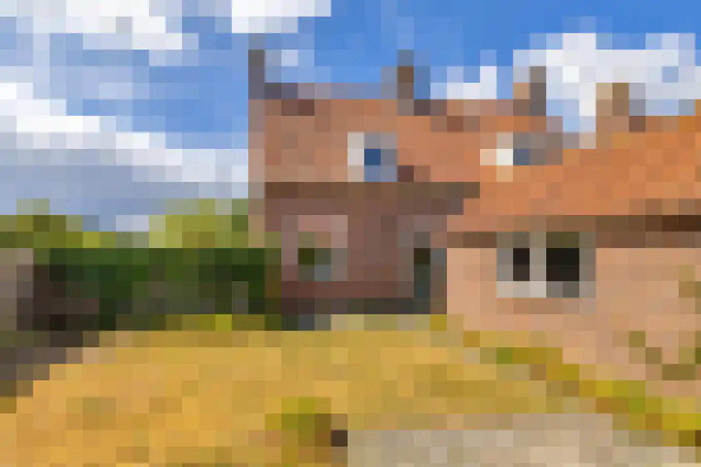 Langeweg 62 Stellendam thumbnail 29