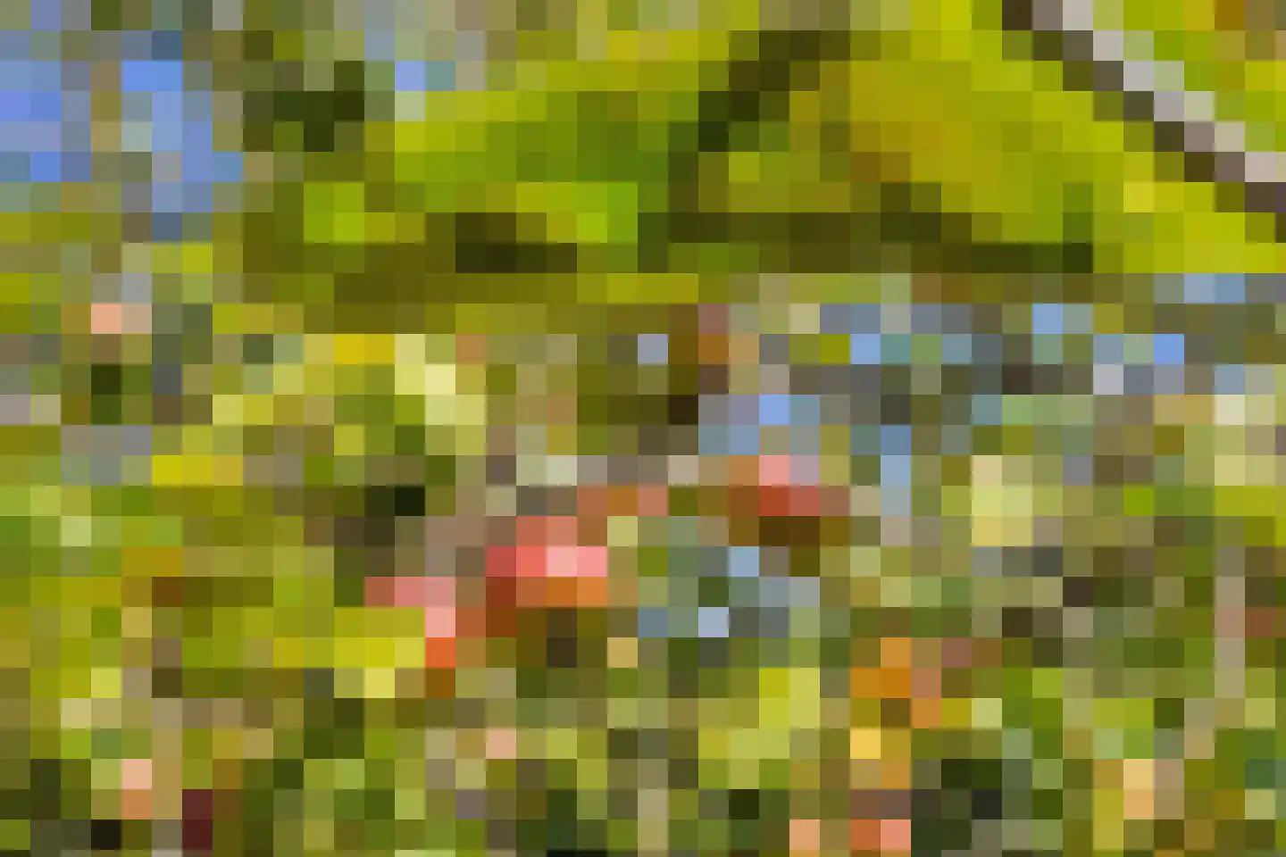 Langeweg 62 Stellendam thumbnail 33