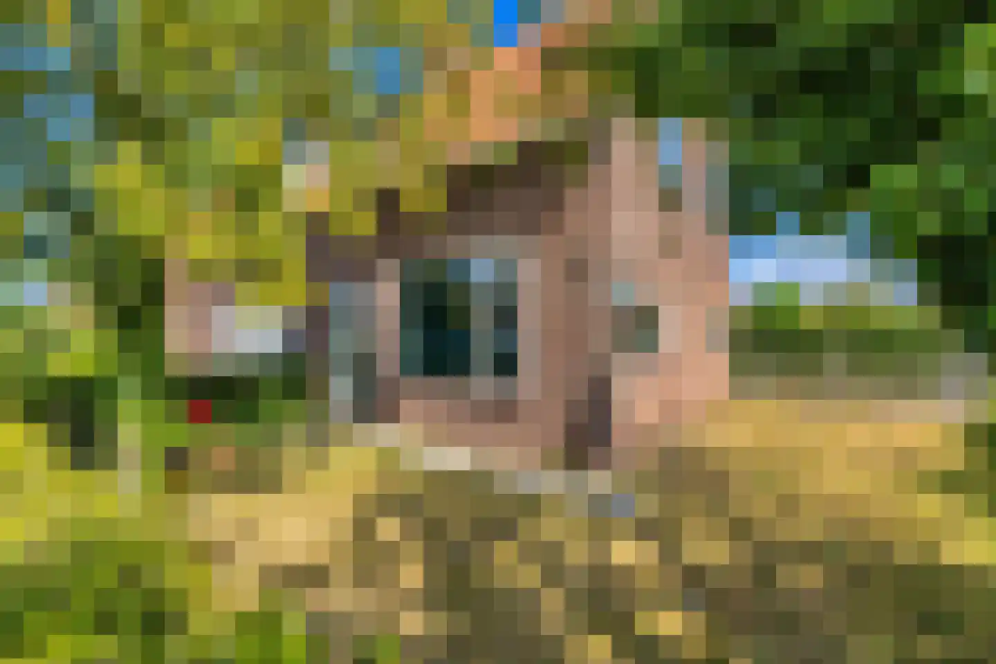 Langeweg 62 Stellendam thumbnail 34