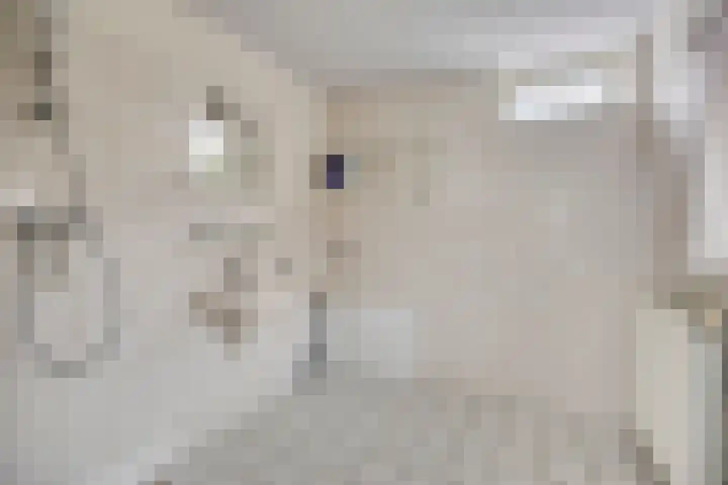 Langeweg 65 Grootegast thumbnail 23