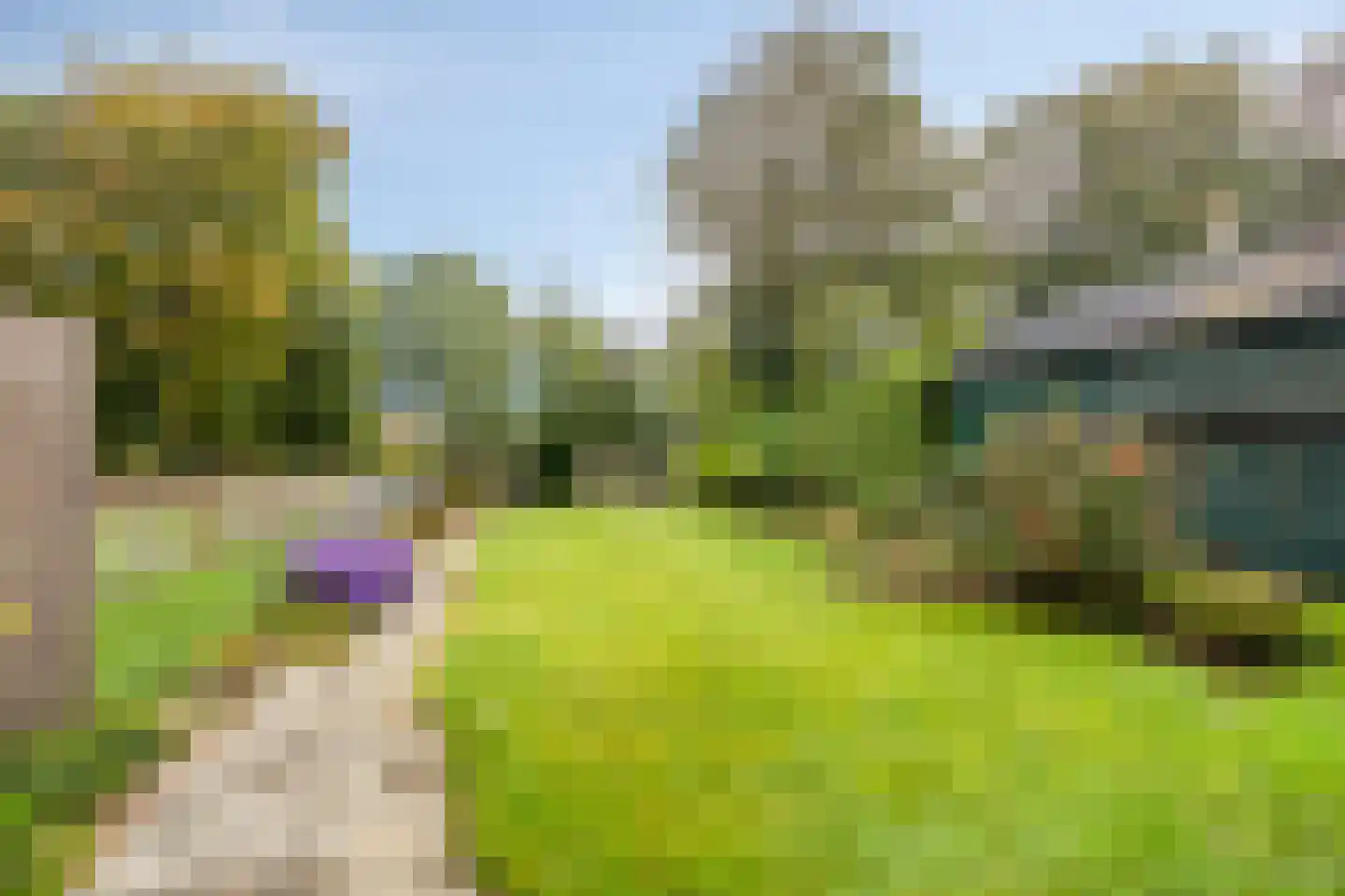 Langeweg 65 Grootegast thumbnail 34
