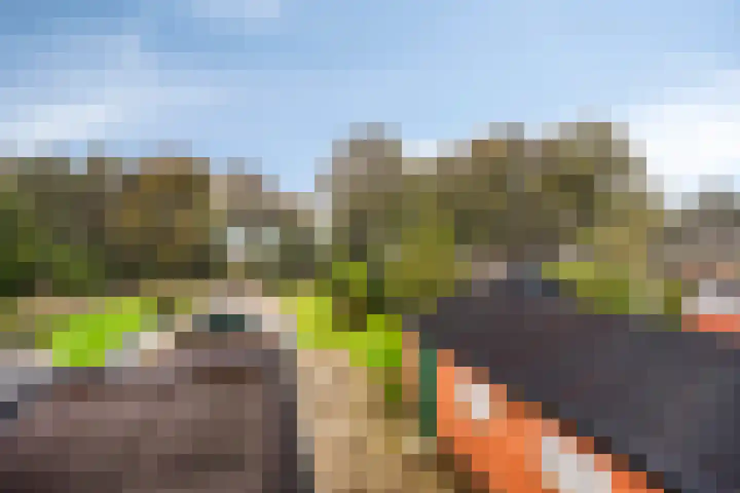 Langeweg 65 Grootegast thumbnail 35