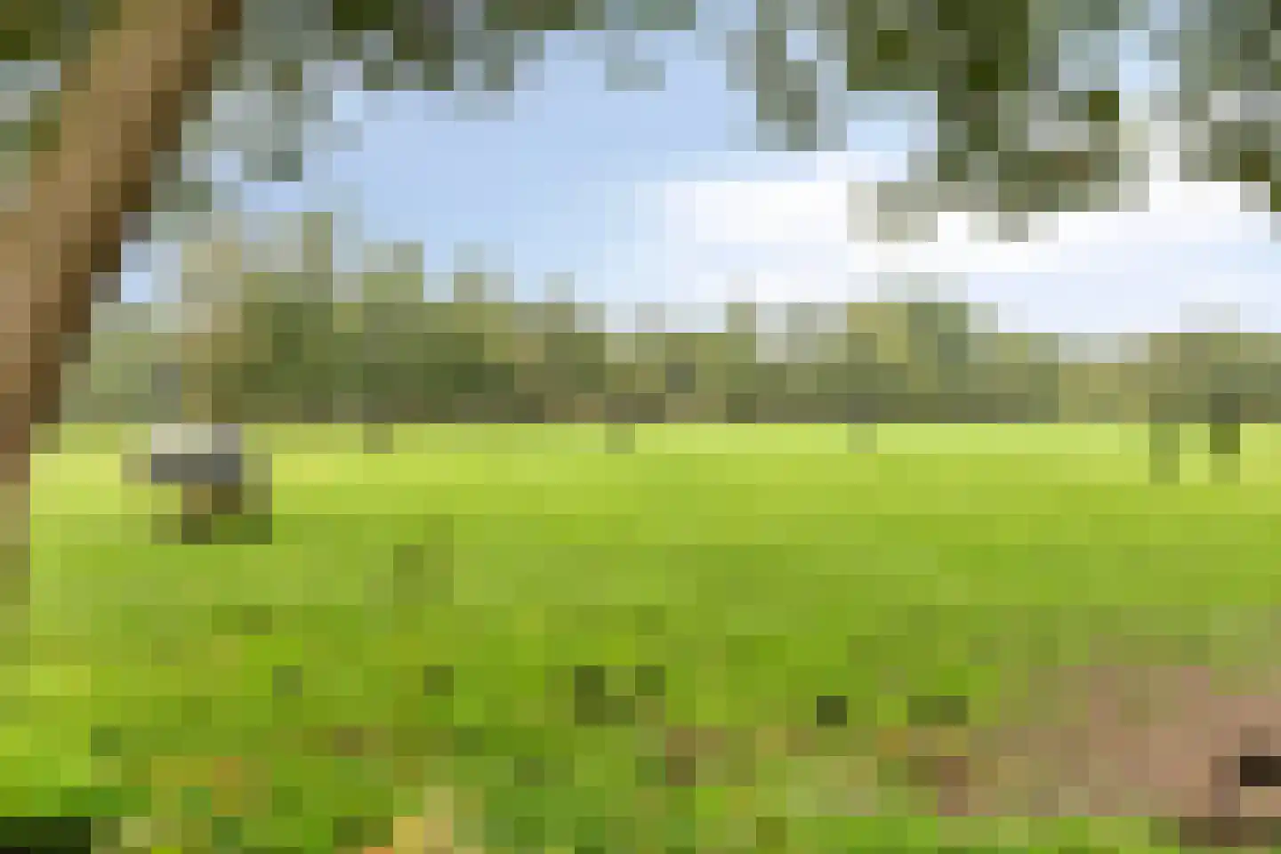 Langeweg 65 Grootegast thumbnail 41