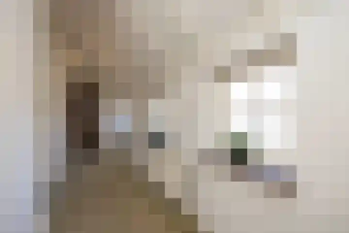 Langeweg 68 Haaren thumbnail 23