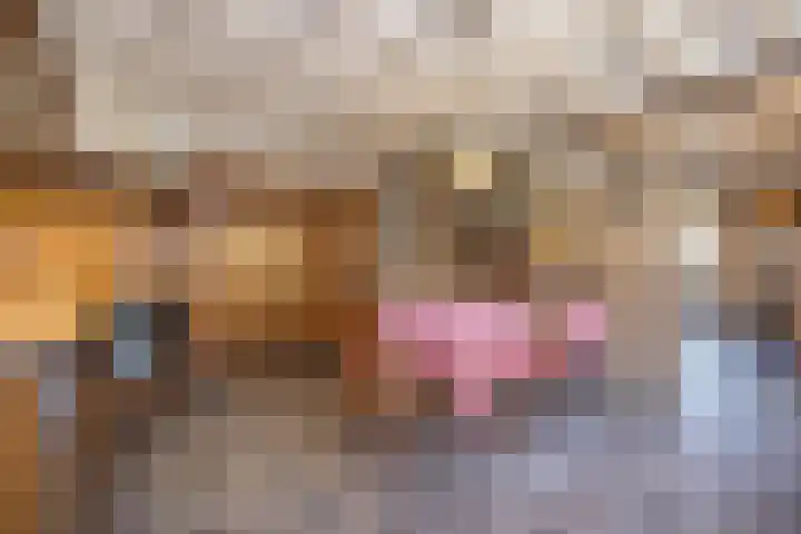 Langeweg 68 Haaren thumbnail 9
