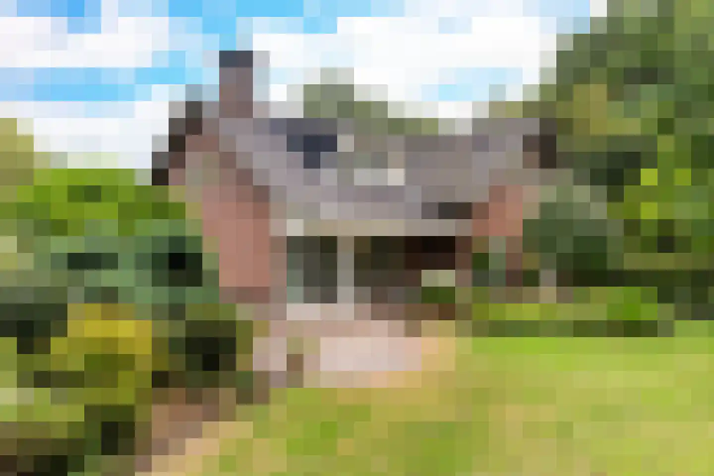 Langeweg 7 Aardenburg thumbnail 10