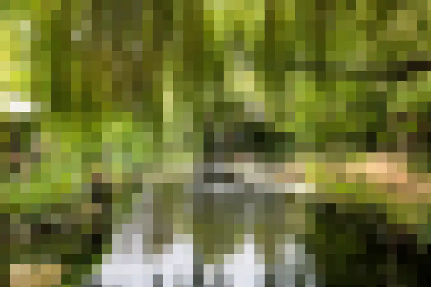 Langeweg 7 Aardenburg thumbnail 15