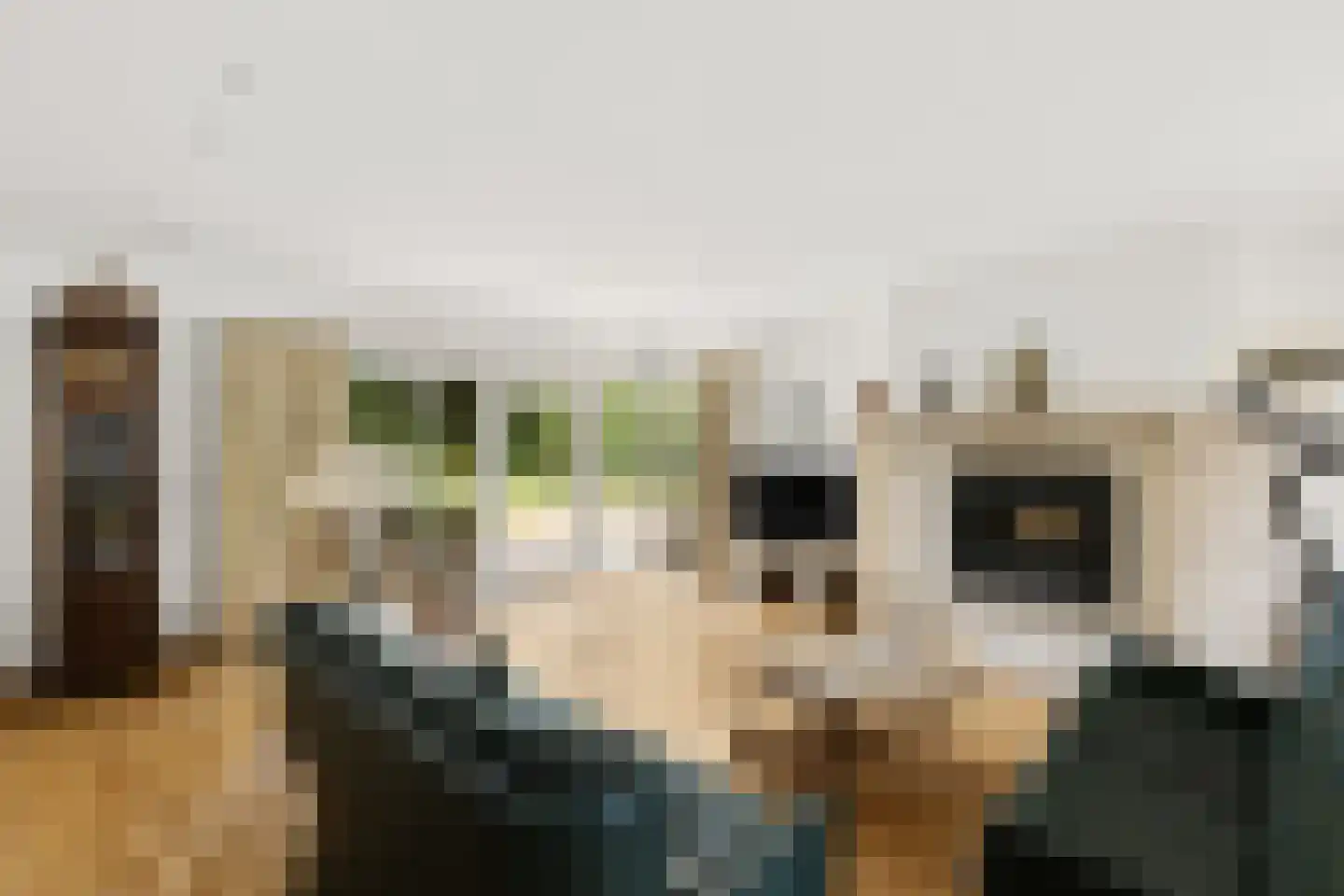 Langeweg 7 Aardenburg thumbnail 25