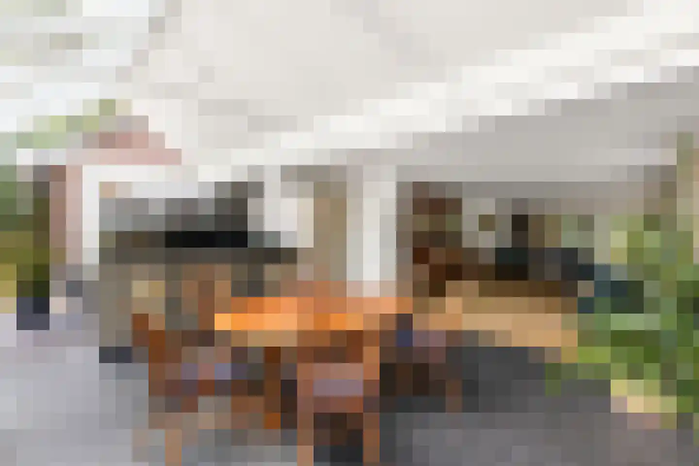Langeweg 7 Aardenburg thumbnail 34