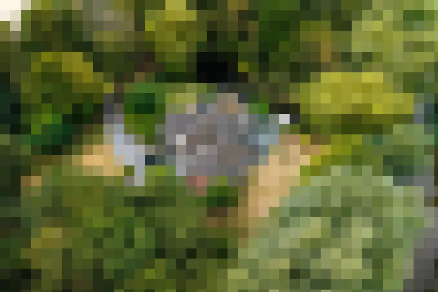 Langeweg 7 Aardenburg thumbnail 4