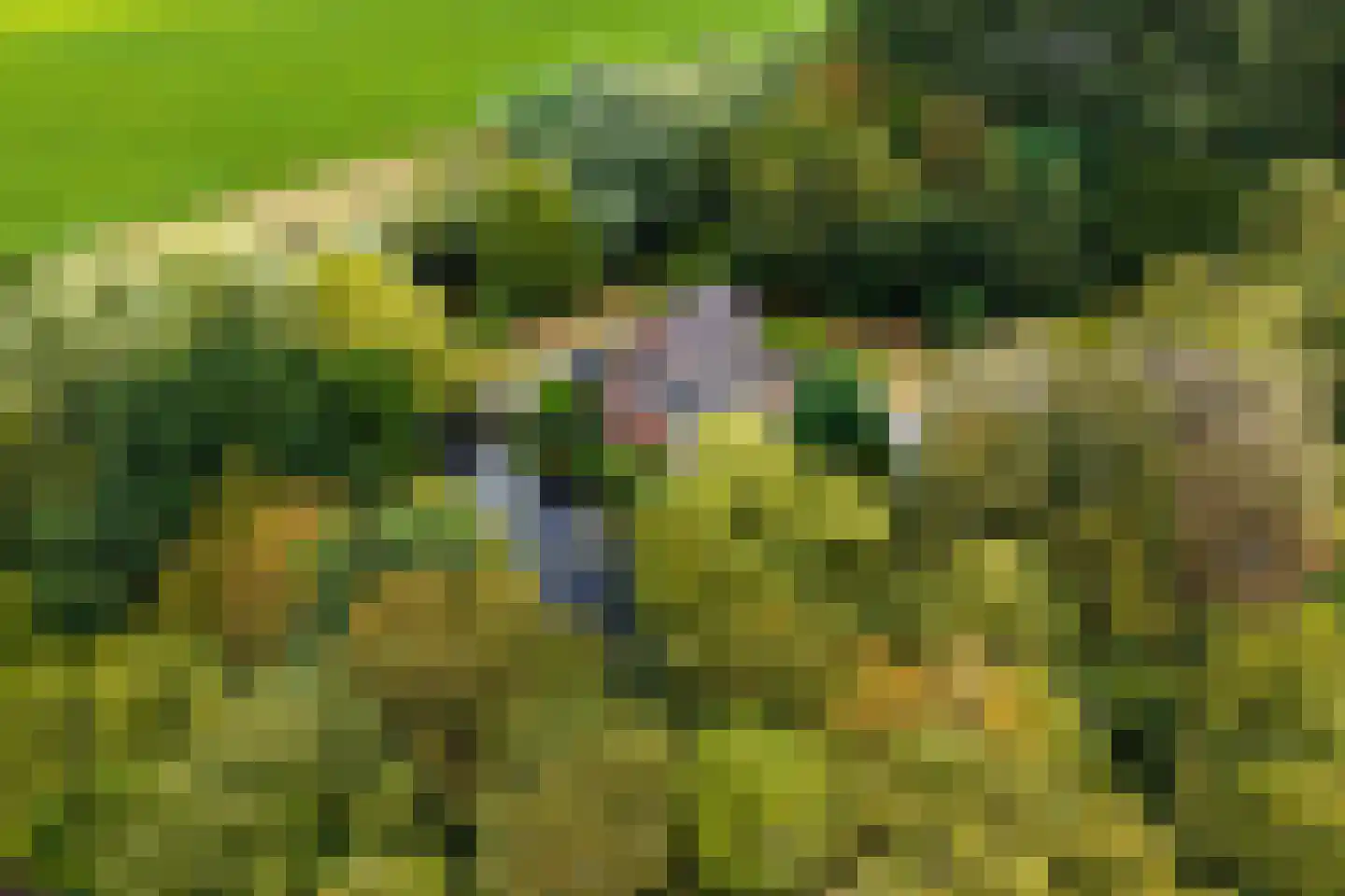 Langeweg 7 Aardenburg thumbnail 58
