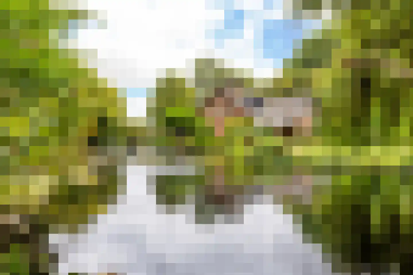 Langeweg 7 Aardenburg thumbnail 6