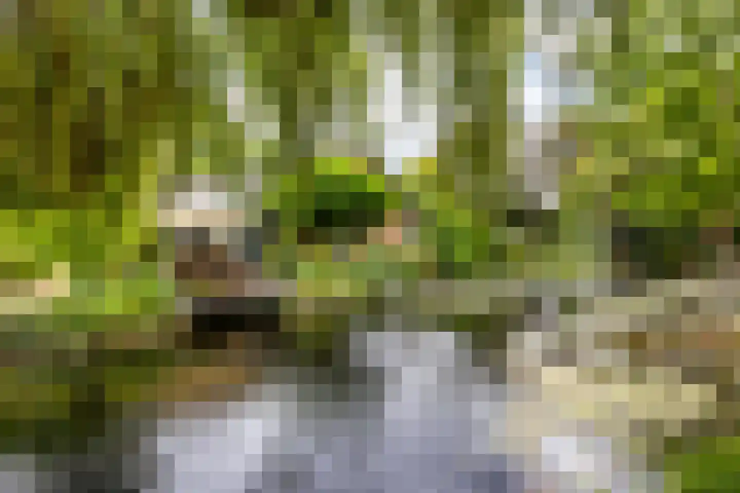 Langeweg 7 Aardenburg thumbnail 8