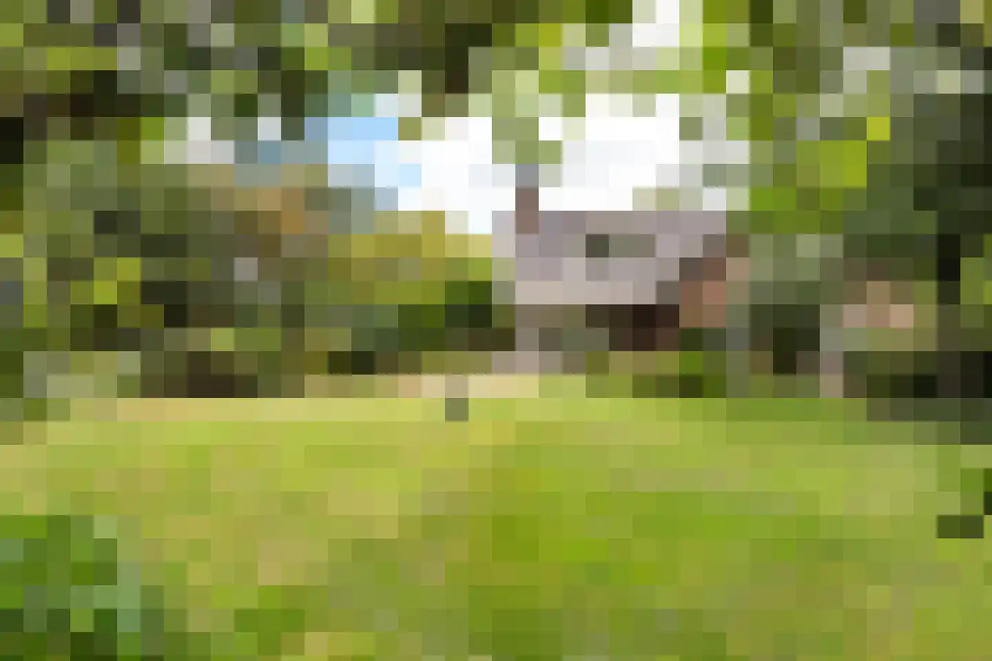 Langeweg 7 Aardenburg thumbnail 9