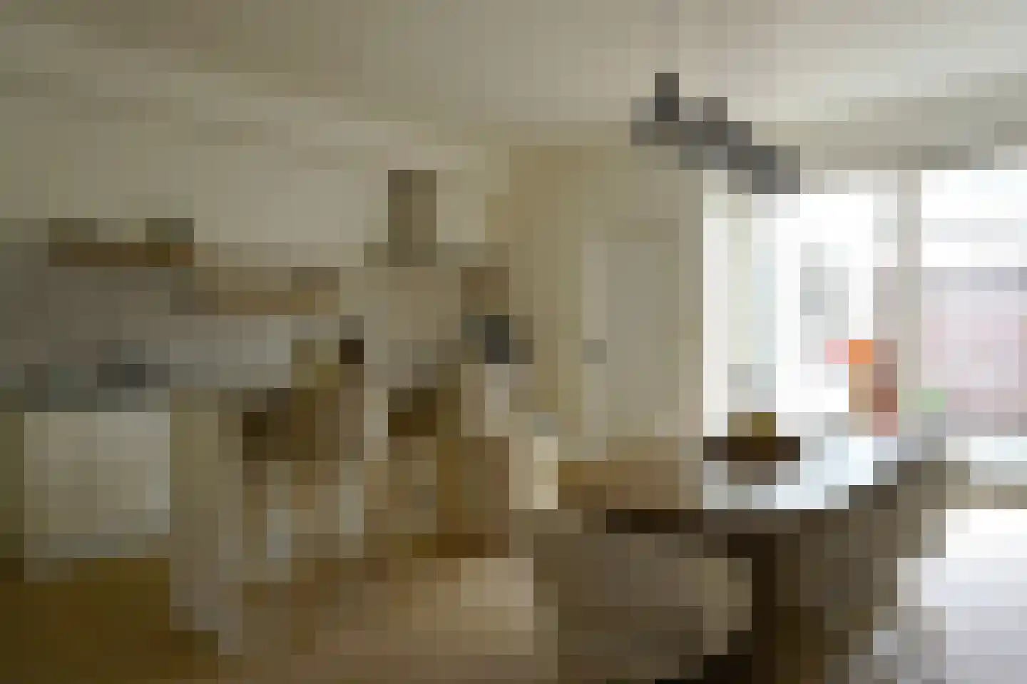 Langeweg 7 Bergen op Zoom thumbnail 5