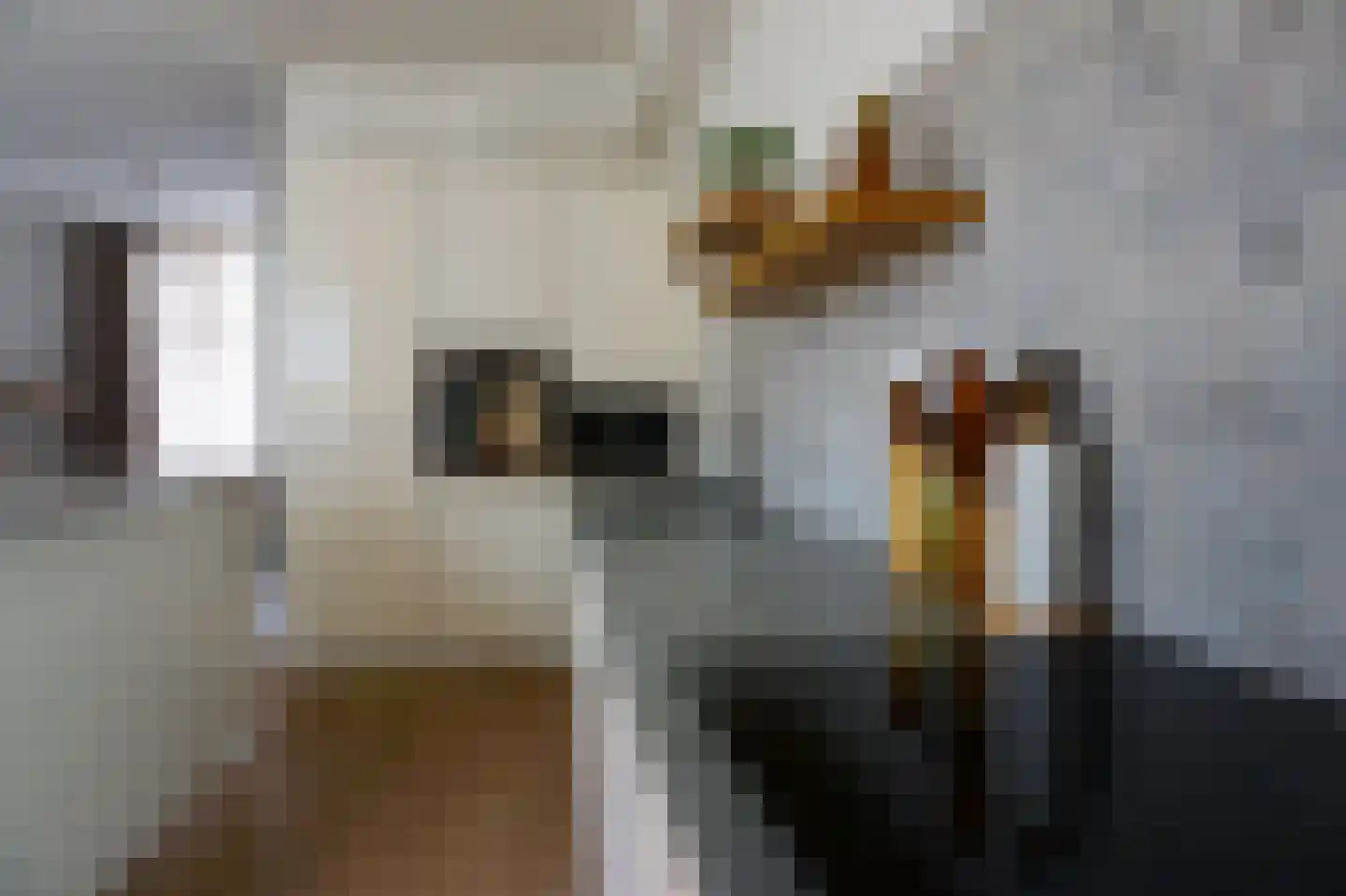Langeweg 7 Bergen op Zoom thumbnail 7