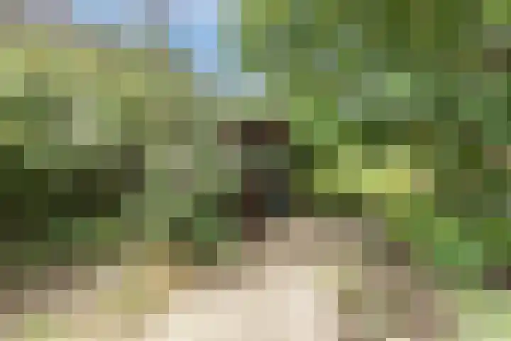 Langeweg 7 Gennep thumbnail 29