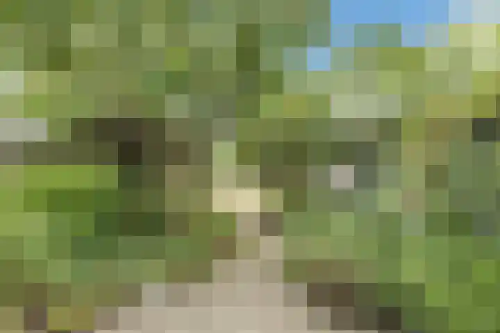 Langeweg 7 Gennep thumbnail 36