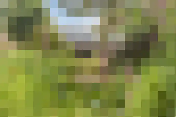 Langeweg 7 Gennep thumbnail 37