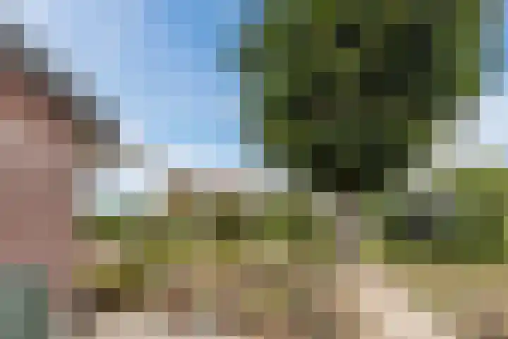 Langeweg 7 Gennep thumbnail 39