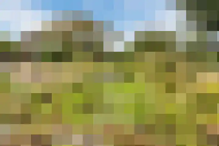 Langeweg 7 Gennep thumbnail 40