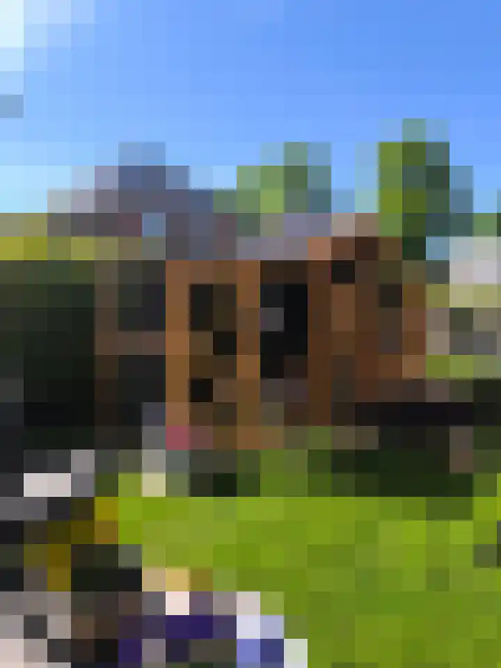 Langeweg 7 Scheemda thumbnail 52