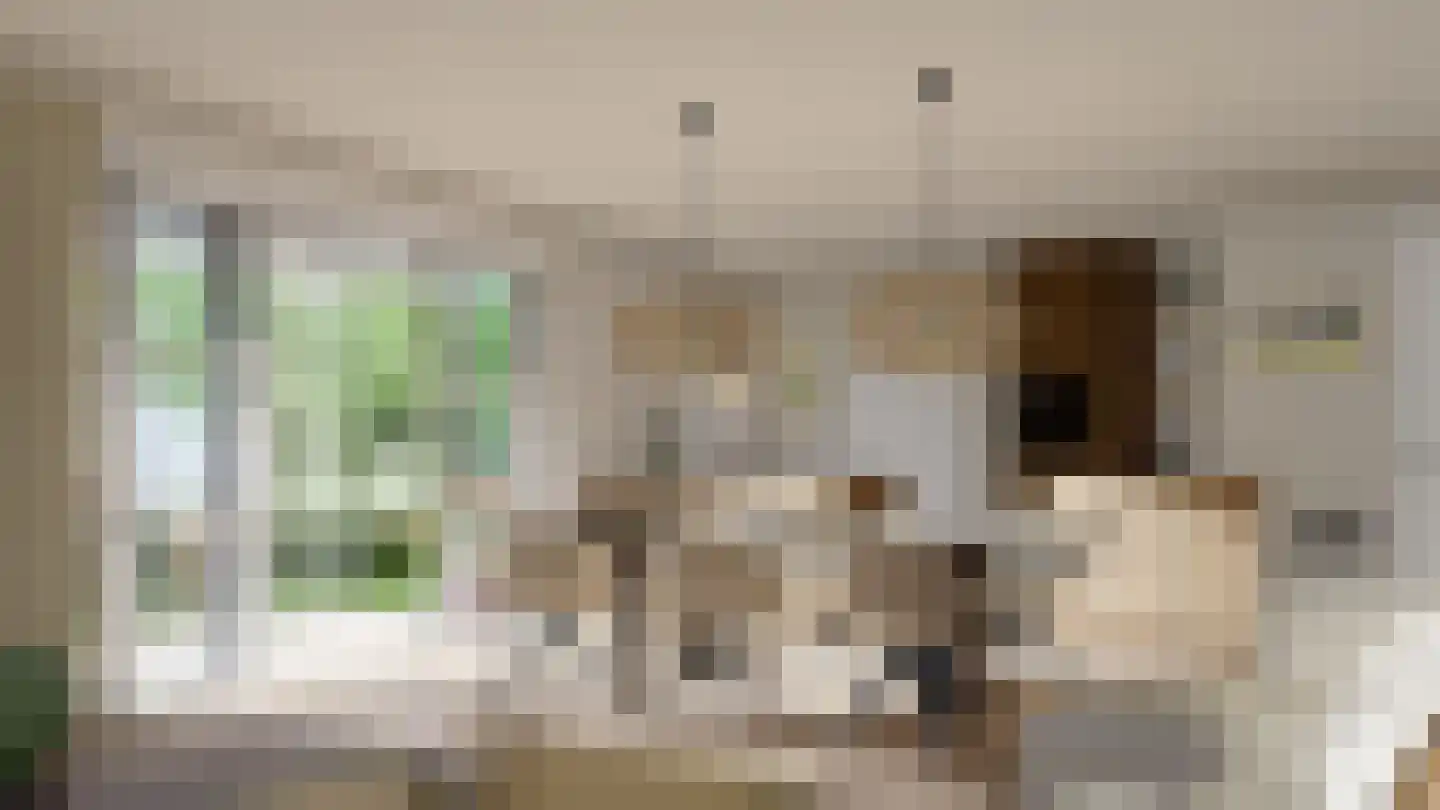 Langeweg 70 Middelharnis thumbnail 4