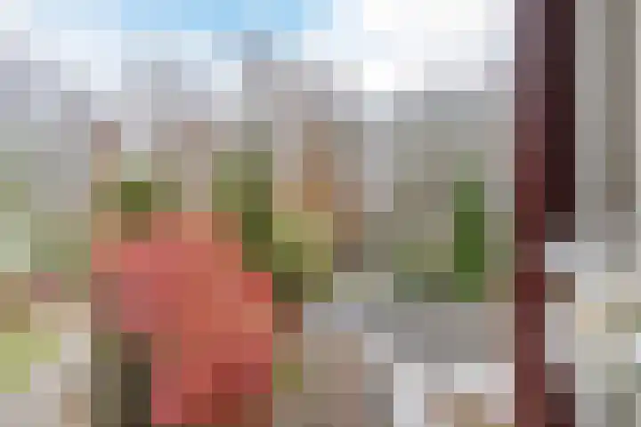 Langeweg 75 Slootdorp thumbnail 39