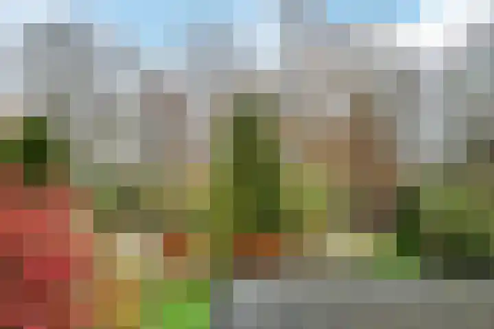 Langeweg 75 Slootdorp thumbnail 49