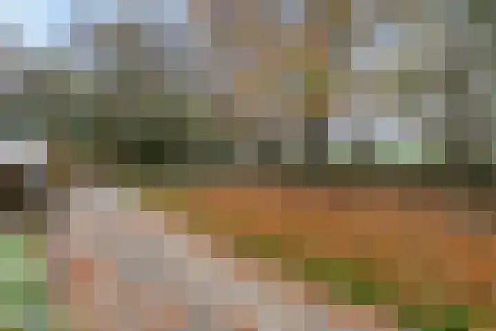 Langeweg 75 Slootdorp thumbnail 60