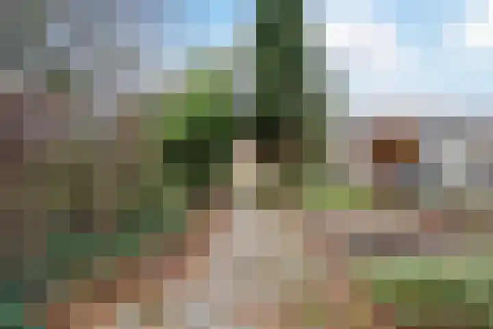 Langeweg 75 Slootdorp thumbnail 61