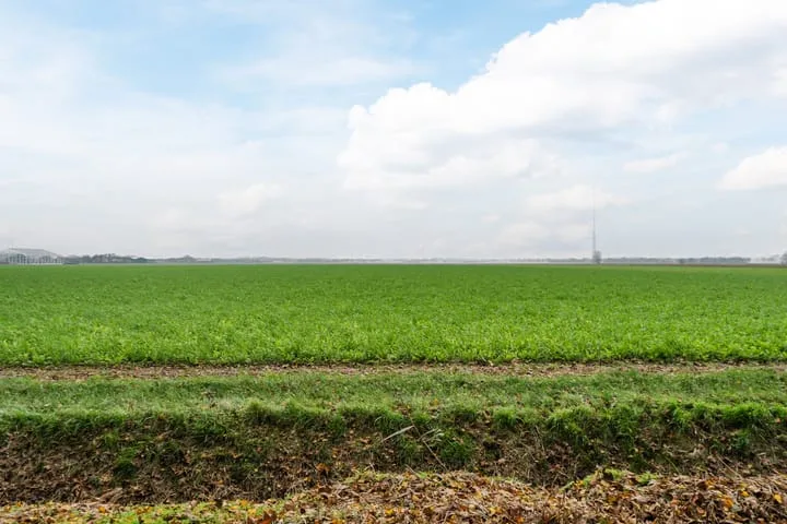 Langeweg 75 Slootdorp thumbnail 63
