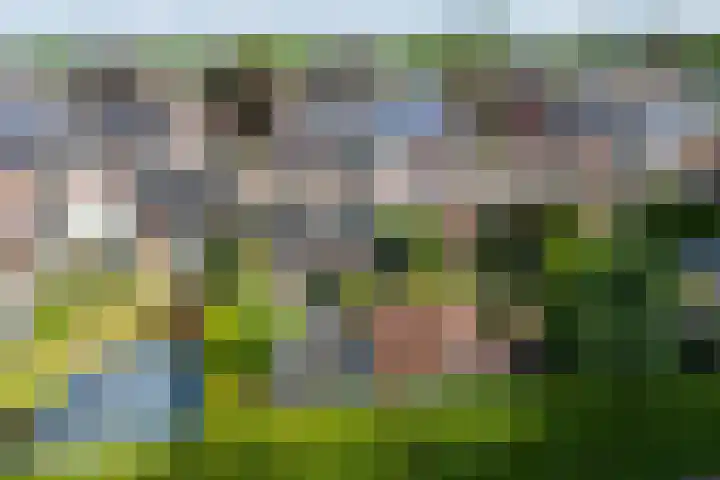 Langeweg 76 Gennep thumbnail 25