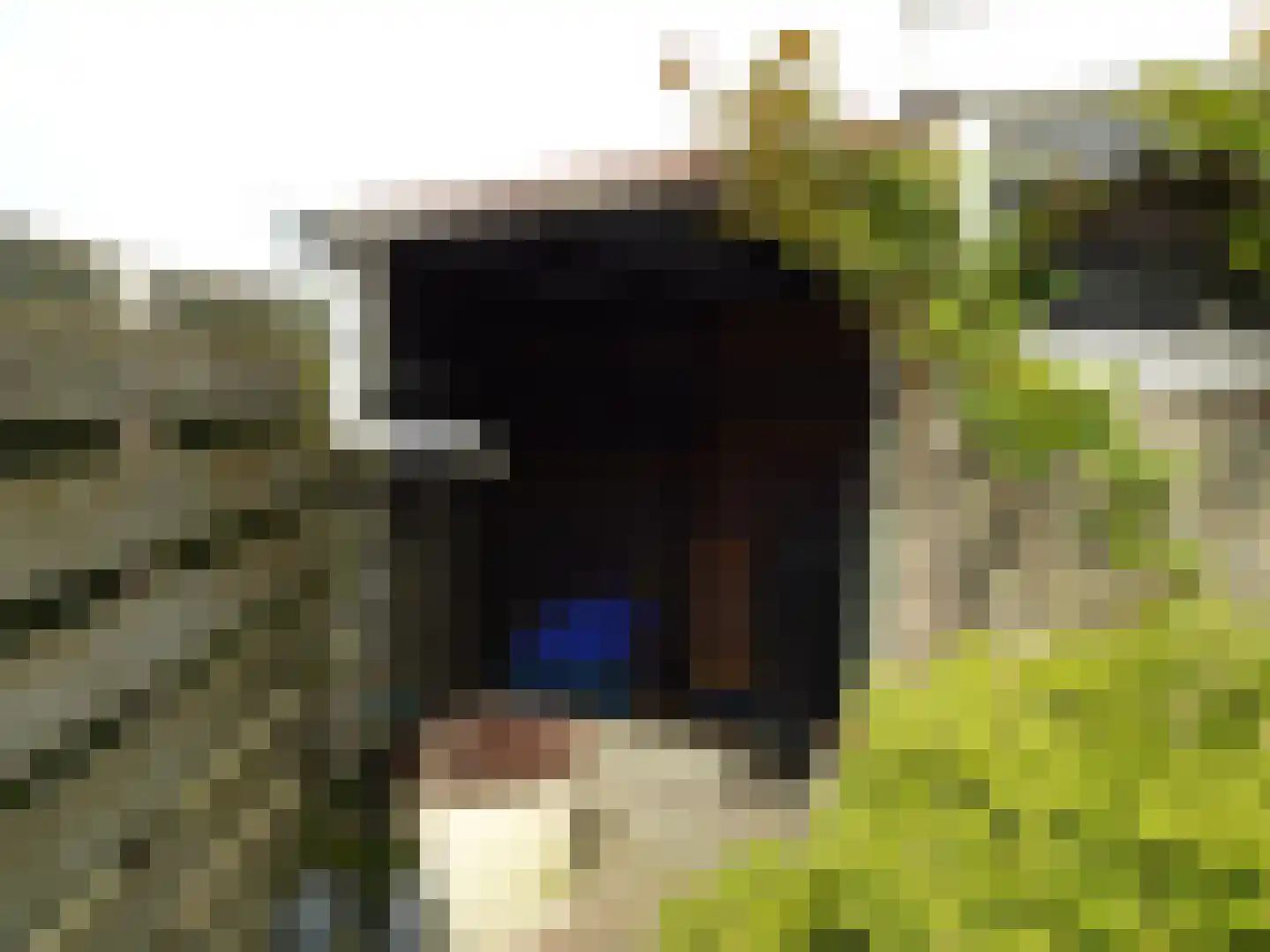 Langeweg 76 Slootdorp thumbnail 26