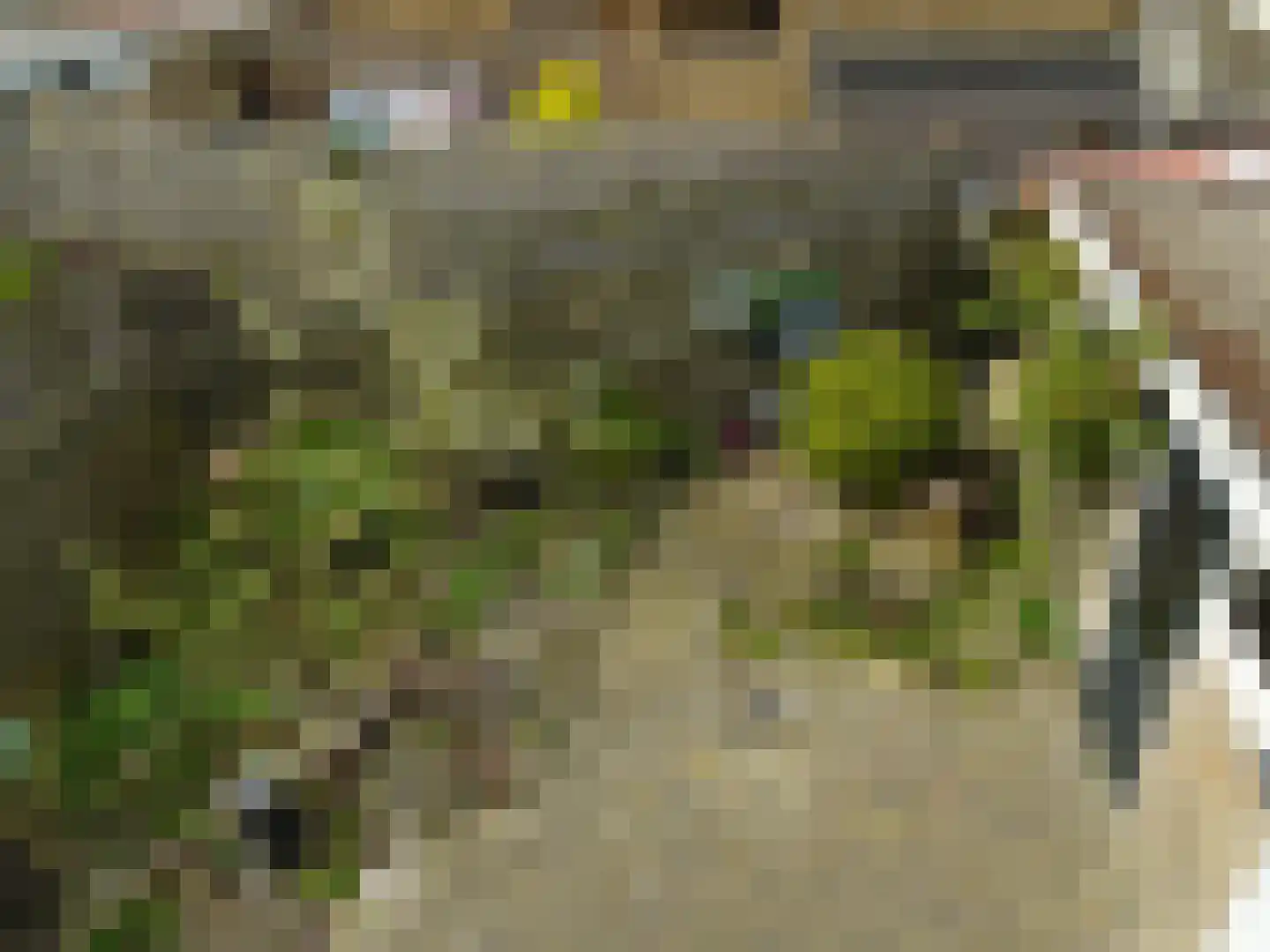 Langeweg 76 Slootdorp thumbnail 5