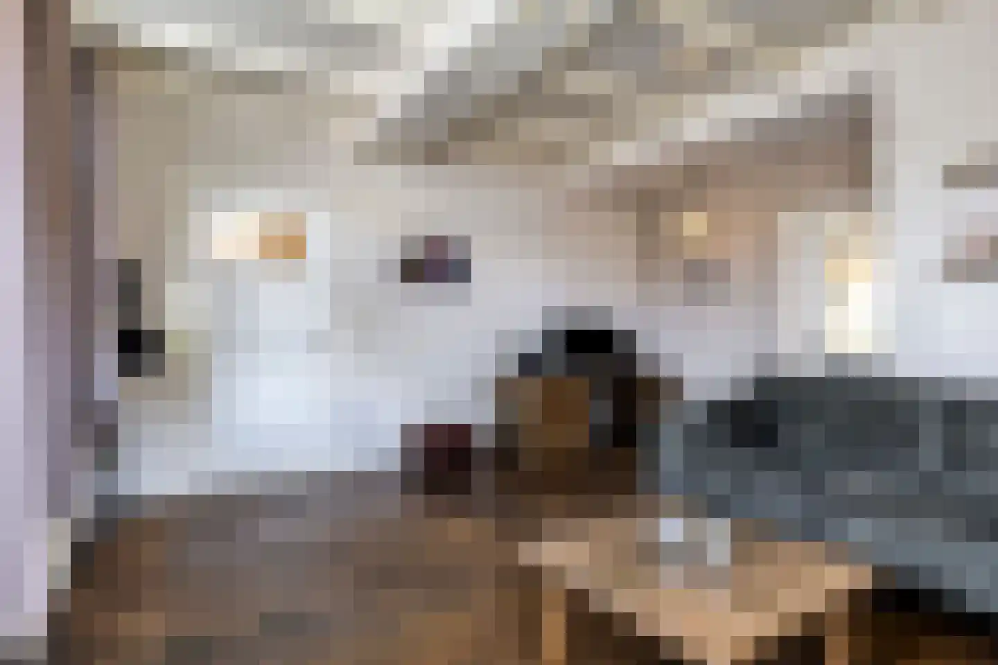 Langeweg 8 's-Gravenpolder thumbnail 16