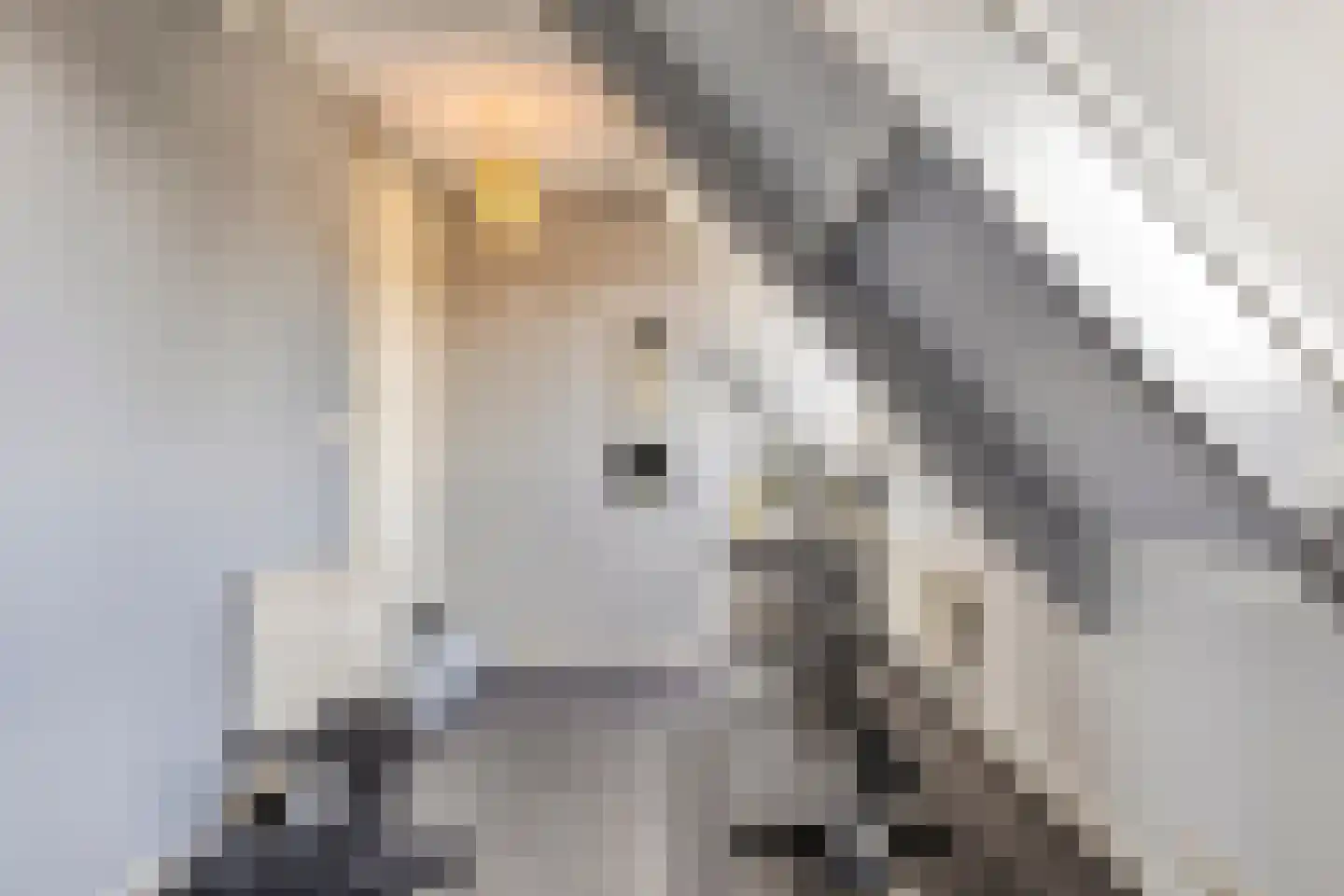 Langeweg 8 's-Gravenpolder thumbnail 30