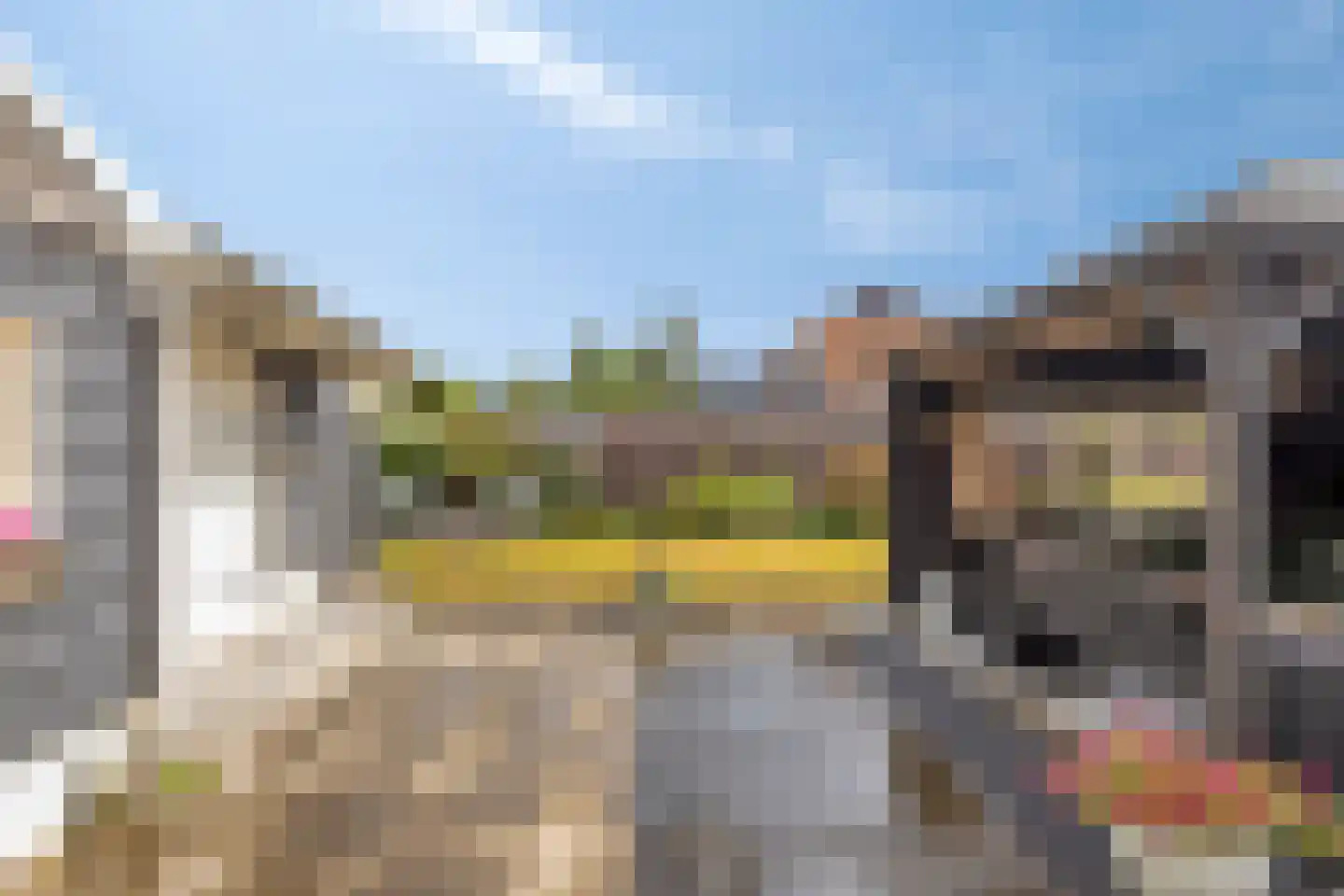 Langeweg 8 's-Gravenpolder thumbnail 43