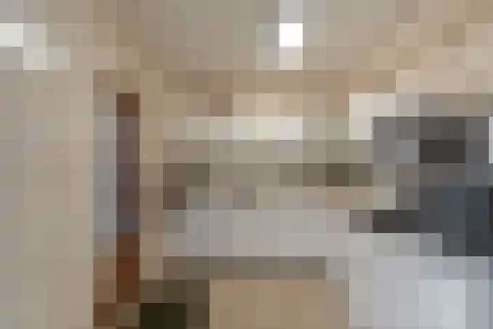 Langeweg 80 Gennep thumbnail 13