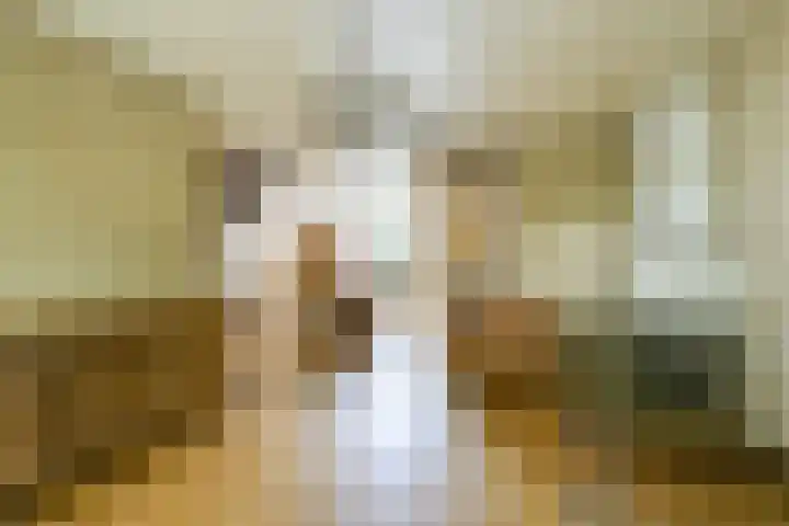 Langeweg 81 Vianen thumbnail 13