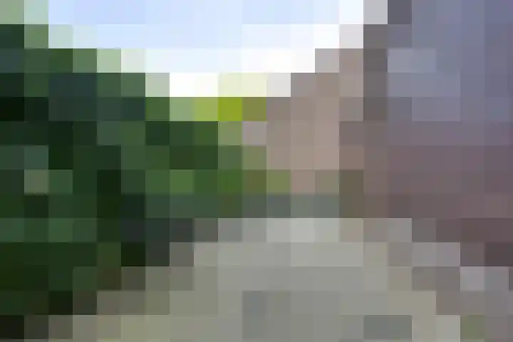 Langeweg 81 Vianen thumbnail 22